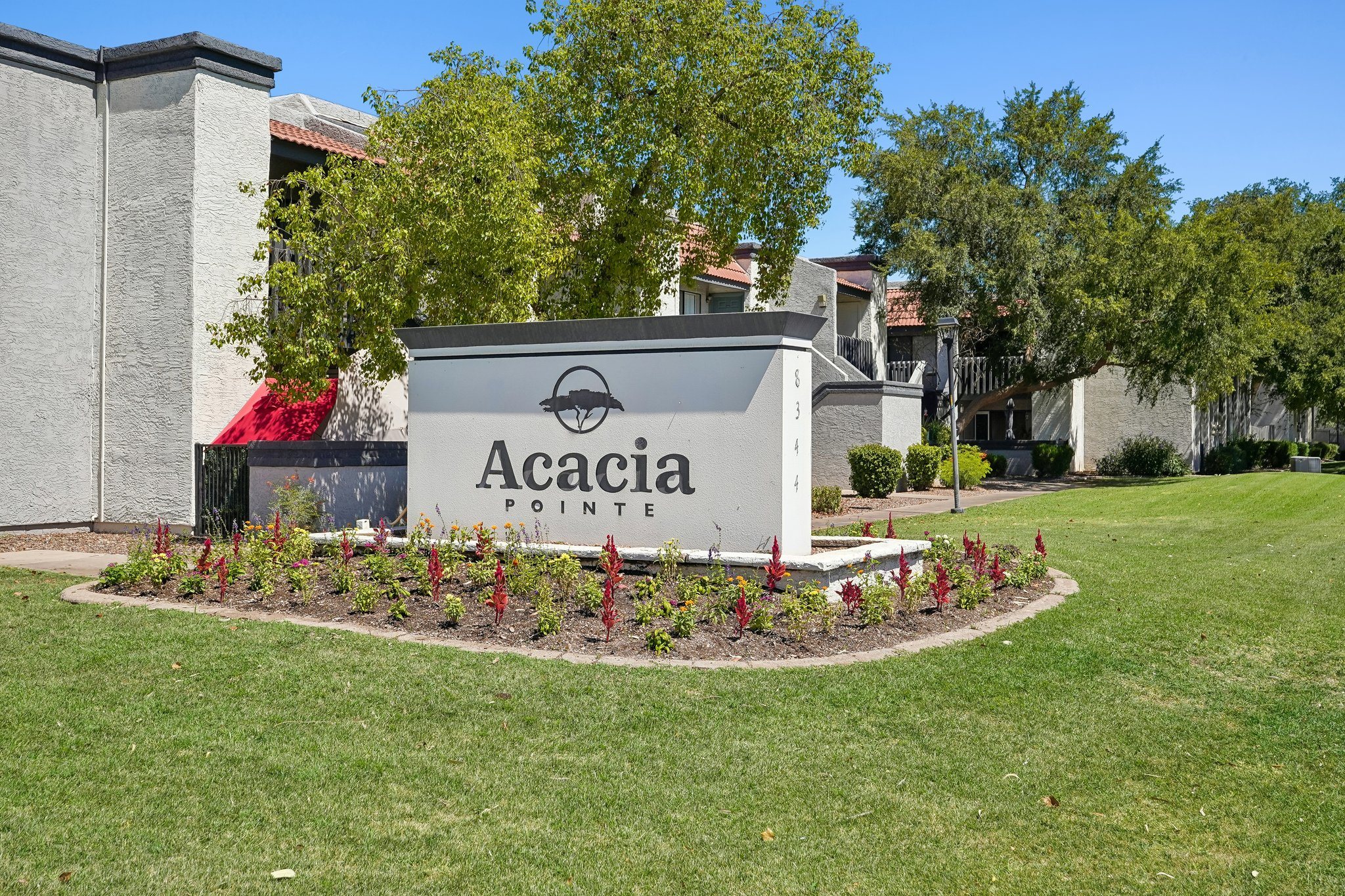 Acacia Pointe photo 5